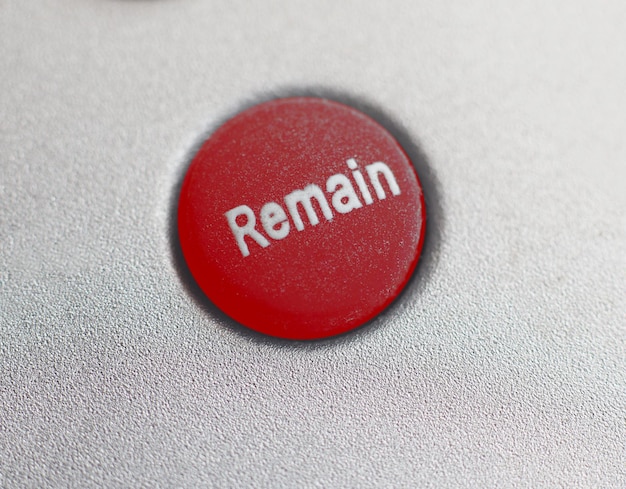 Red Remain button Brexit