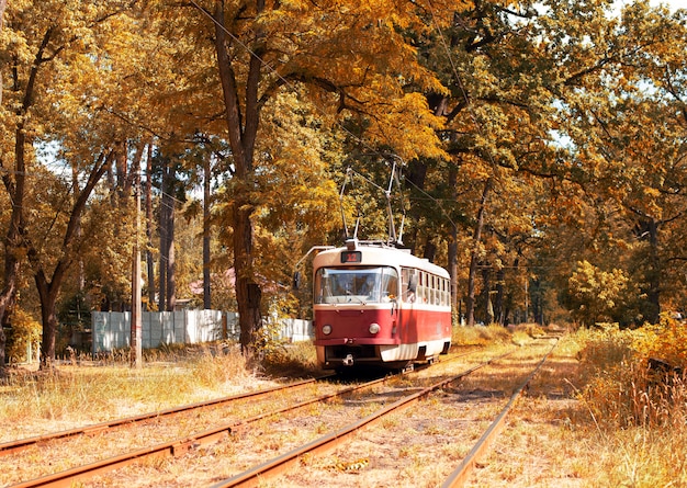 Red retro tram in magical deep sunny colorful forest. amazing natural autumn background