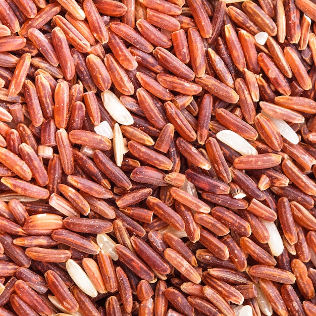 Red rice scattered as a background. Food design.