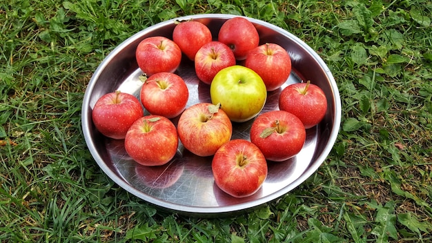 Red ripe aples in metal platter