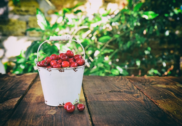 Red ripe cherry in a bucket 