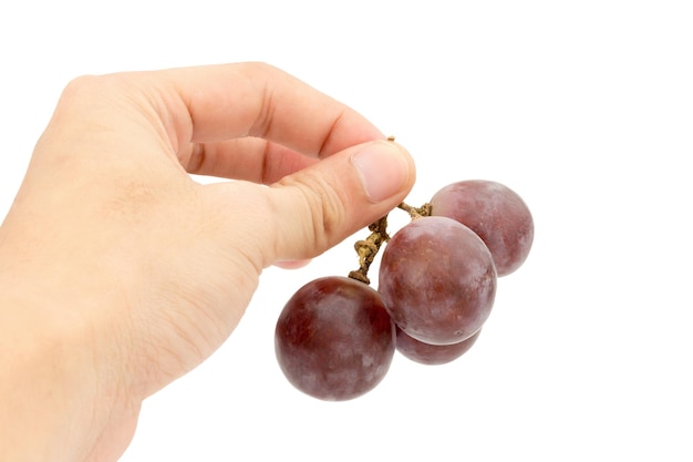 Red ripe grapes on hand isolated on a white background