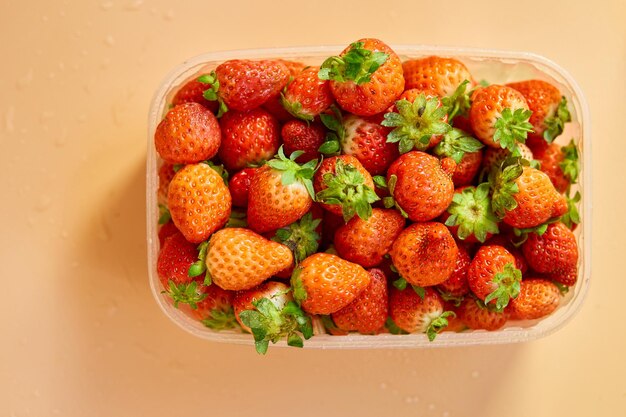 Red ripe organic strawberries in plastic tray container on orange background copy space for text top view market local farm concept harvestxA