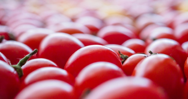 Red ripe organic tomato background