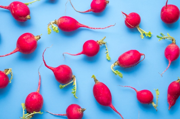 Red ripe radishes on blue, flat lay