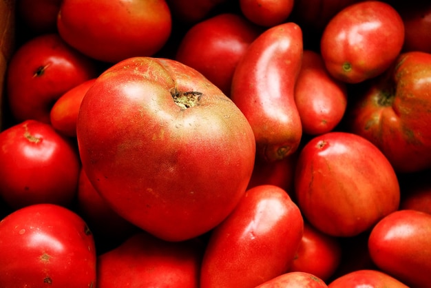 Red ripe tomatoes lie together Top view This is a new crop of natural vegetables from the garden