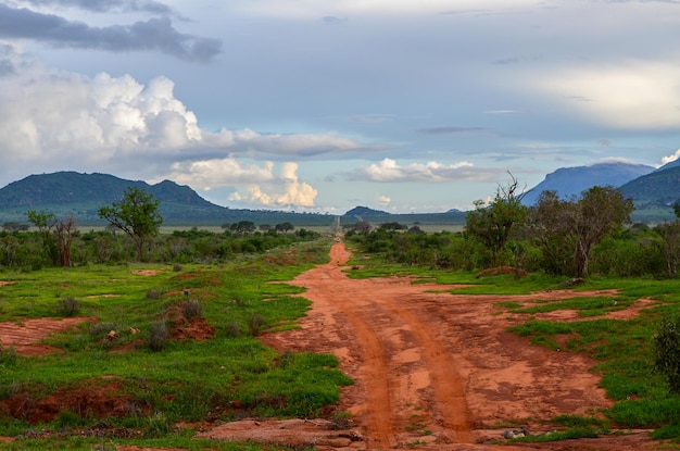 Foto strada rossa nella savana nello tsavo kenya orientale africa