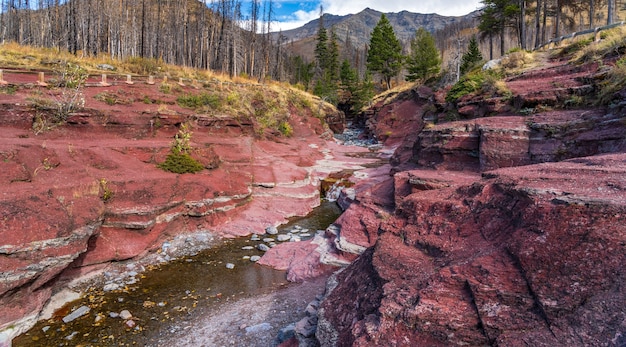 Red Rock Canyon in autumn foliage season morning. Blue sky, white clouds and mountains in the background. Waterton Lakes National Park, Alberta, Canada.