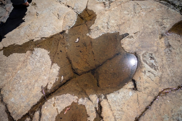 Red rocks in a stream iof tannin water