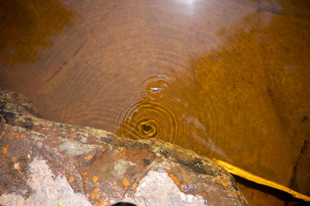 Red rocks in a stream iof tannin water