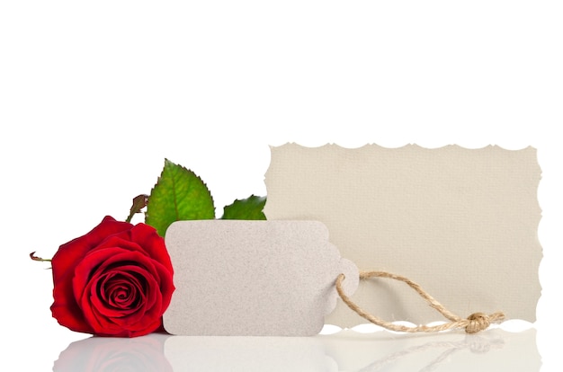 Red rose and blank gift card