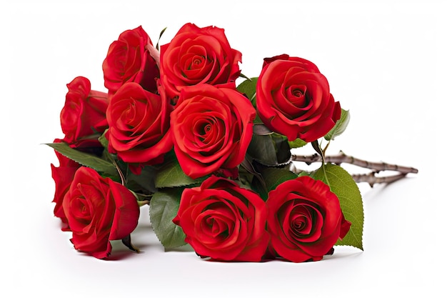 Red rose bouquet isolated on white background