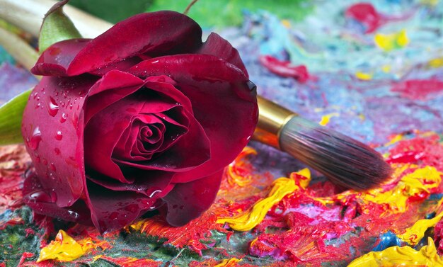 Foto una rosa rossa accanto a un pennello con un pennello sullo sfondo.