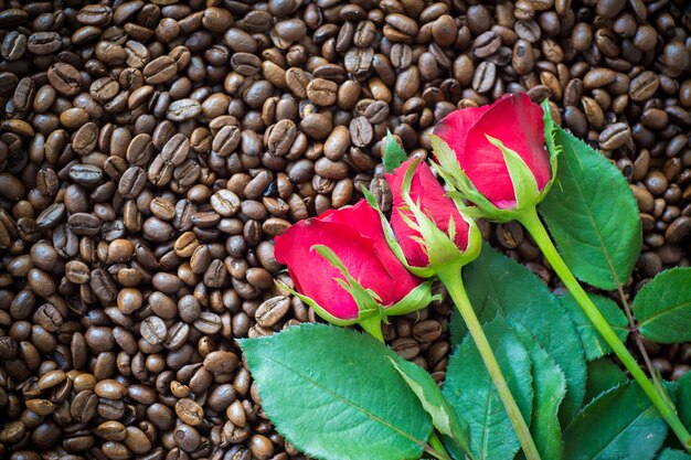 コーヒー豆の背景に赤いバラ