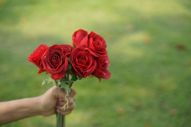 발렌타인 축제에서 여성의 손에 빨간 장미