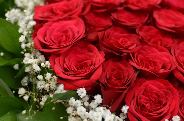 Red rose flower arrangement for background