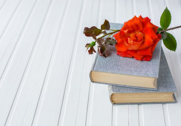 Red rose flower over open book on white wooden background, romantic and love.