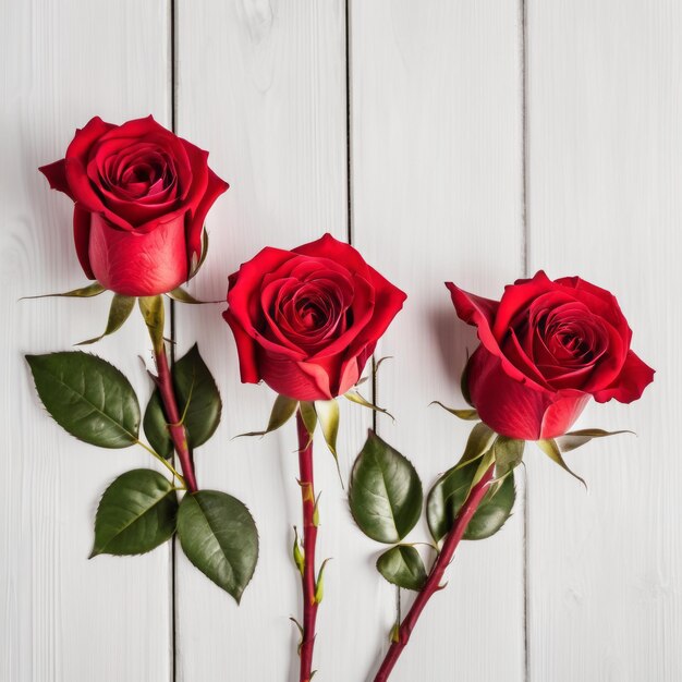 Red rose flowers over white wood background Romantic greeting card for Valentines Day