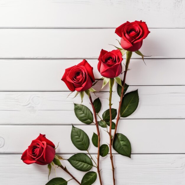 Red rose flowers over white wood background Romantic greeting card for Valentines Day