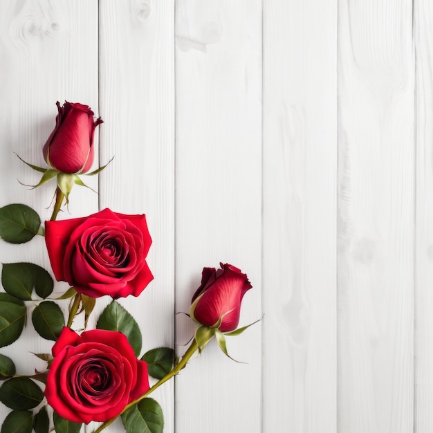 Red rose flowers over white wood background Romantic greeting card for Valentines Day