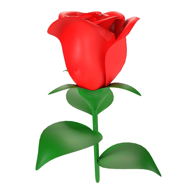Red Rose isolated on white background
