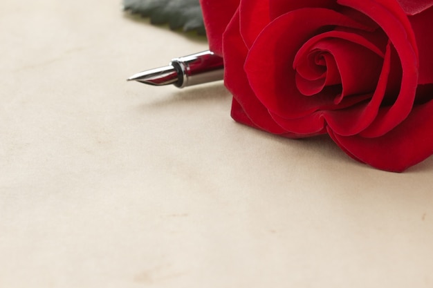 Red rose on parchment