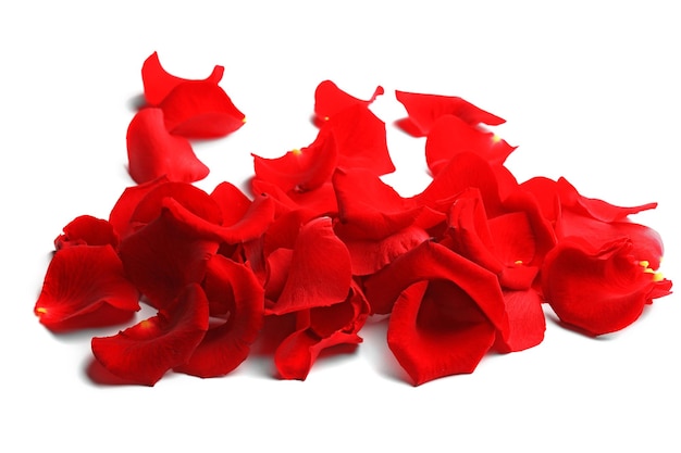 Red rose petals isolated on white