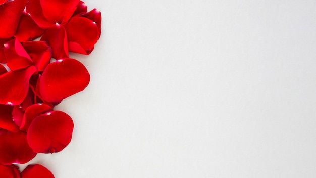 Red rose petals scattered on table 