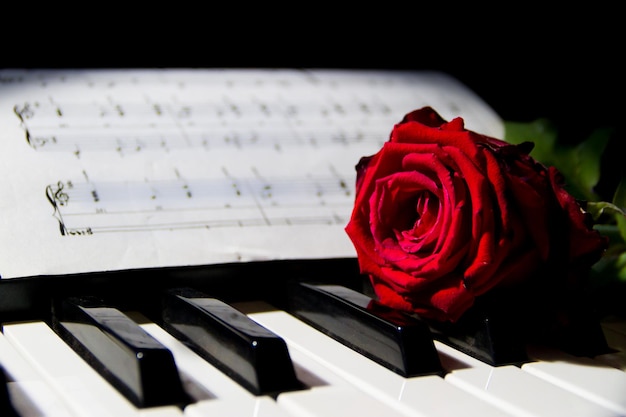 Красная роза на клавишах фортепиано