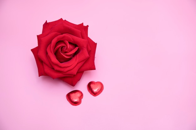 Photo a red rose on pink background