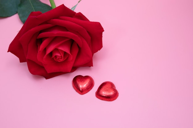 A red rose on pink background