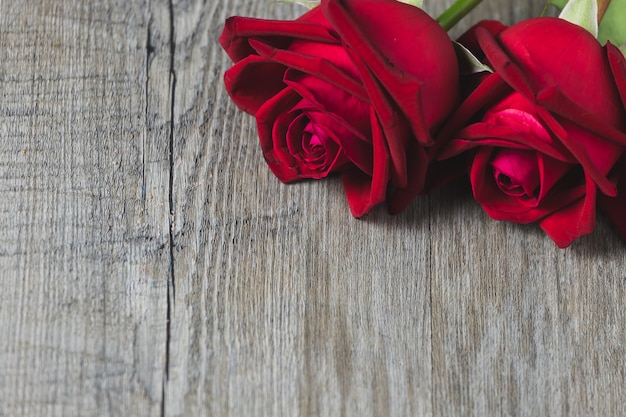 Foto rosa rossa posto su un pavimento di legno grigio, tema di san valentino