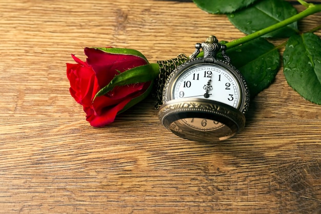 Photo red rose and pocket watch, time, background