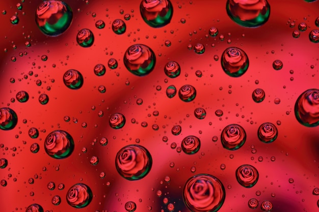 Una rosa rossa riflessa in poche gocce d'acqua