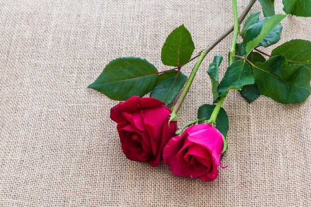 Red rose on sackcloth as background