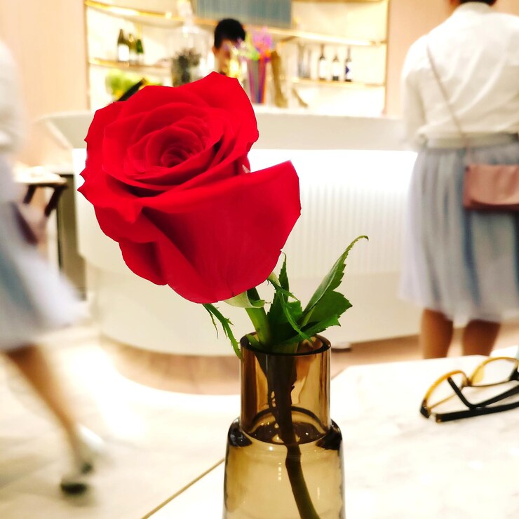 Photo red rose in vase