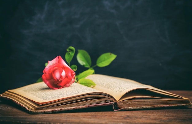 Red rose on a vintage book on dark background