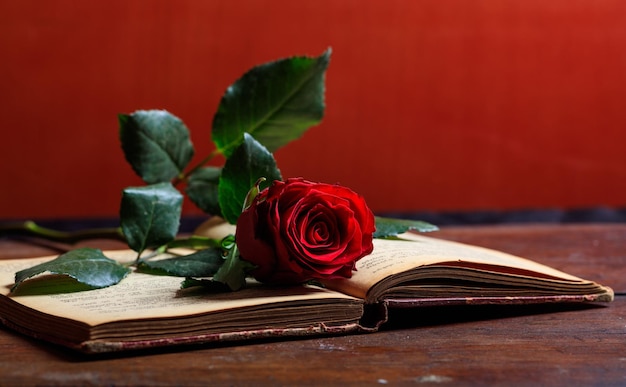 Red rose on a vintage book on dark background