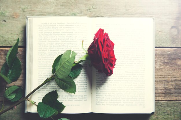 Photo red rose on a vintage book