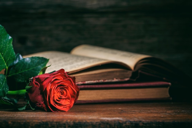 red rose and vintage books on dark background