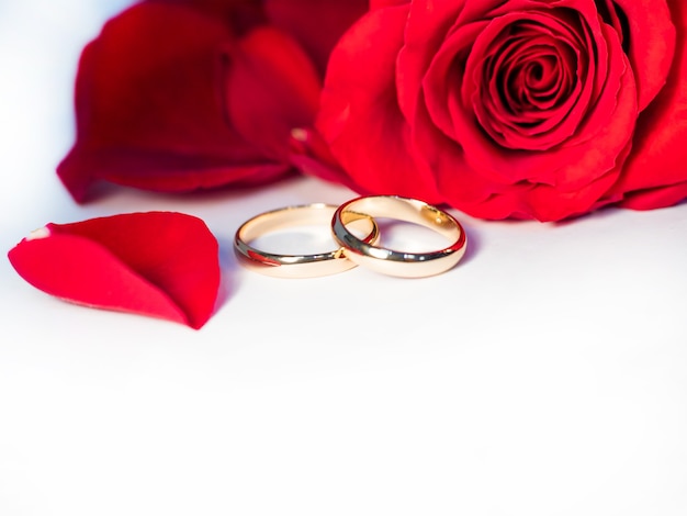 Red rose, wedding rings and rose petals on white background, with soft focus, for wedding, holiday, anniversary, romantic mood