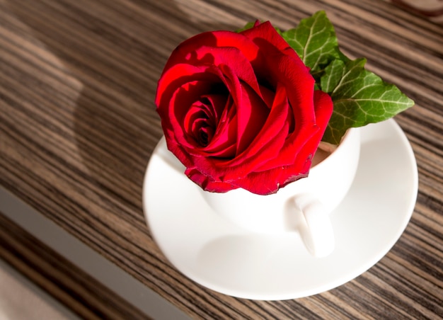 Red rose in the white cup