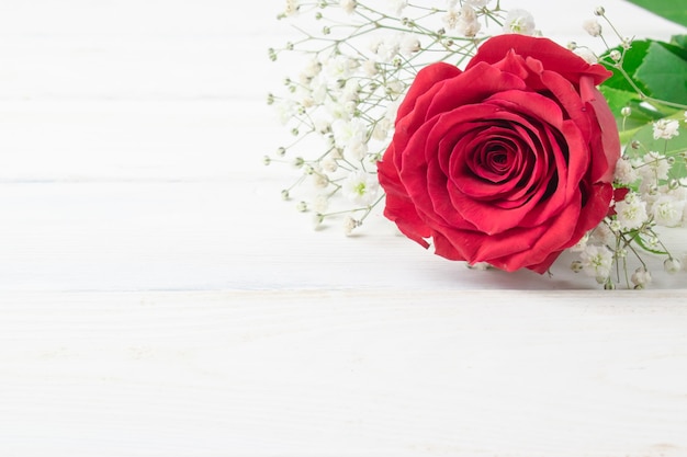 A red rose on a white table