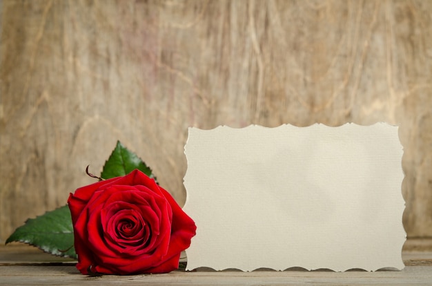 Red rose with paper for text