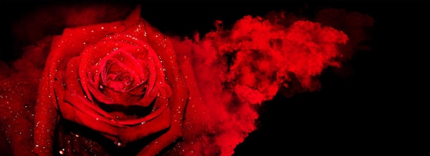 Red rose with smoke and hearts splash on a black background