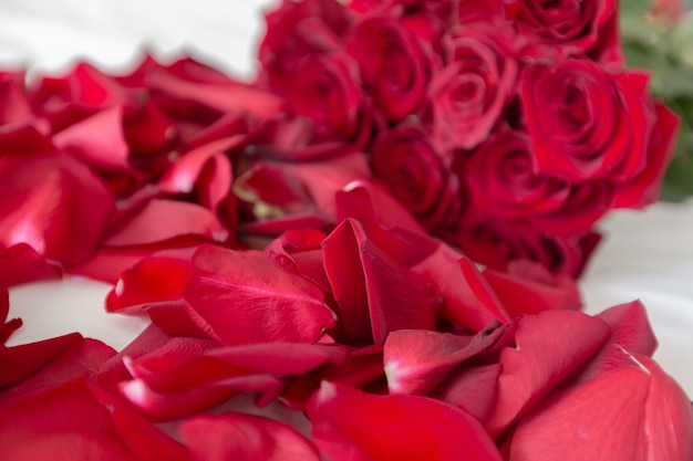 Red roses on a bed