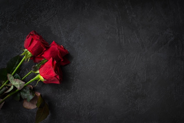 Red roses on a black background top view