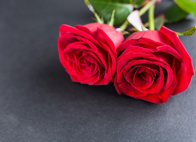 Red roses on a black background