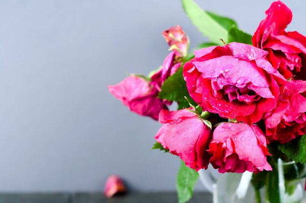 red roses on a Board