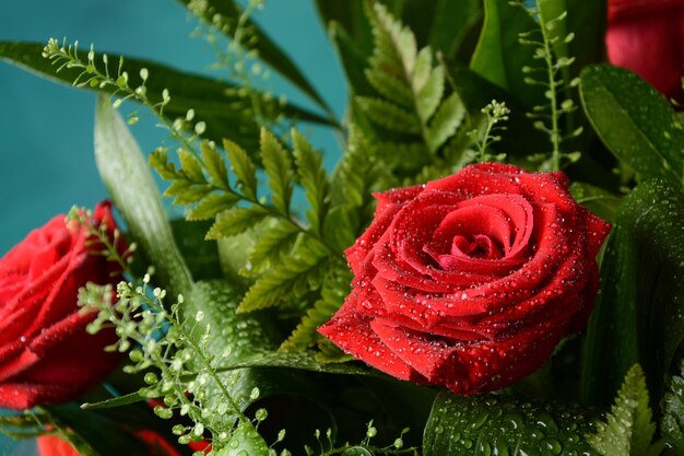 Red roses bouquet for valentine day. Love theme. Close up